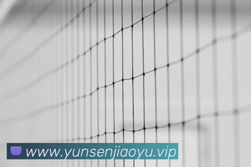 App Interface Preview